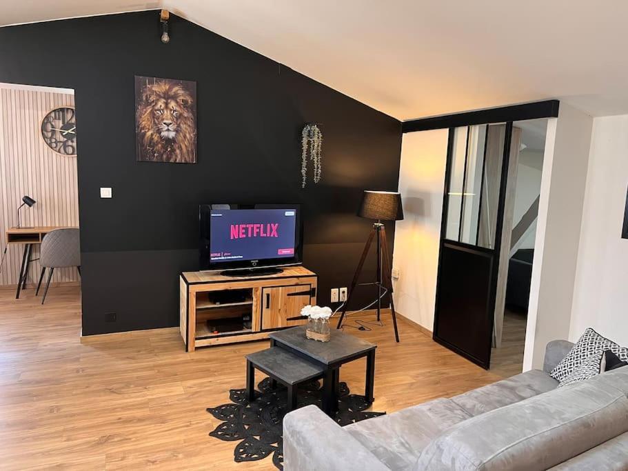 Le Gambetta - Spacieux Et Calme - Climatise Montauban Exterior photo